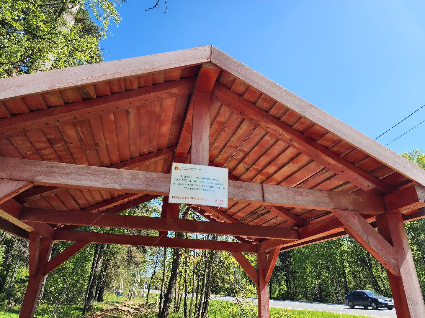 воскресенск, места для пикника, безопасность, лес, пожароопасный сезон,