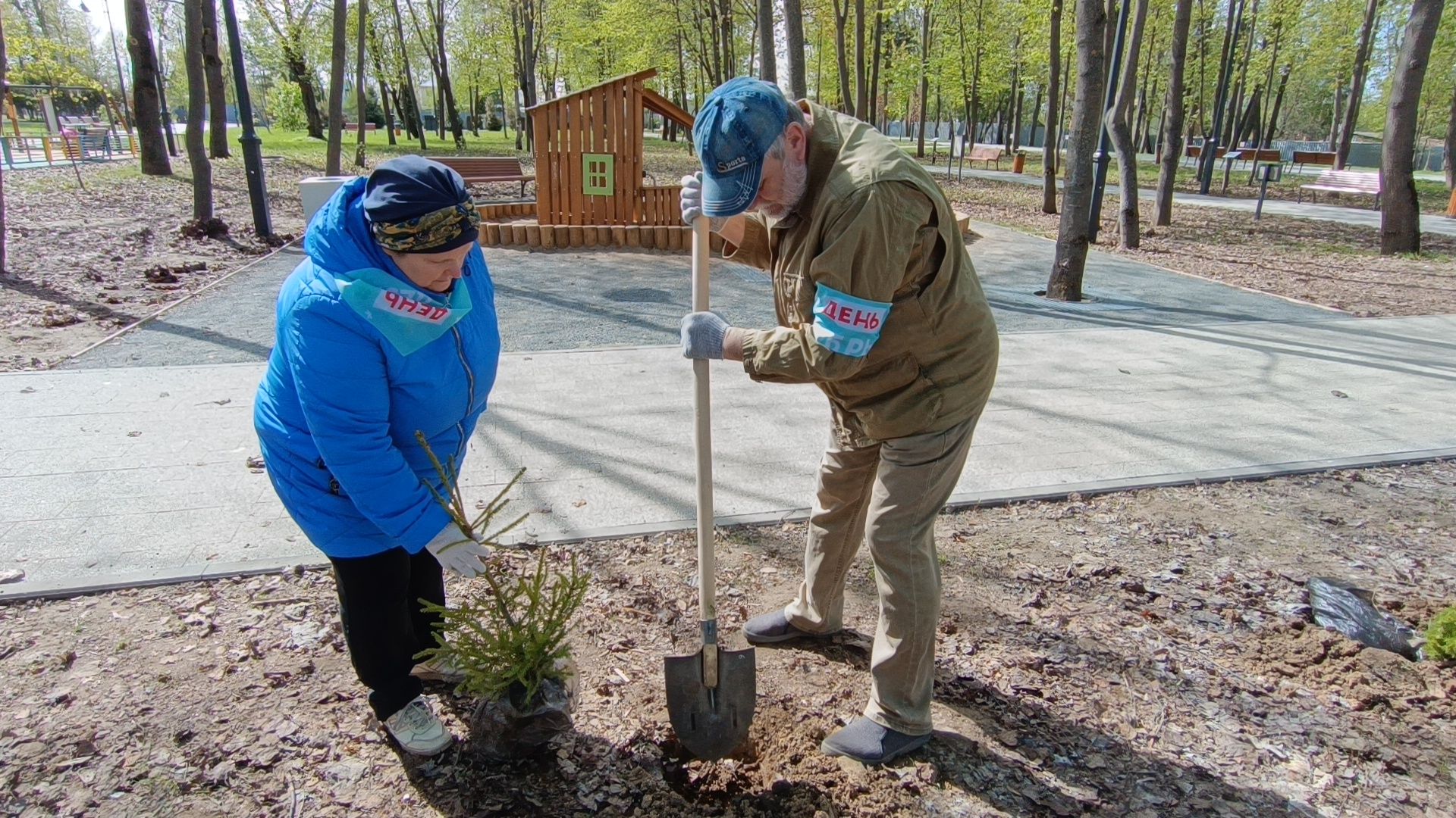 экология, деревья, лобня,
