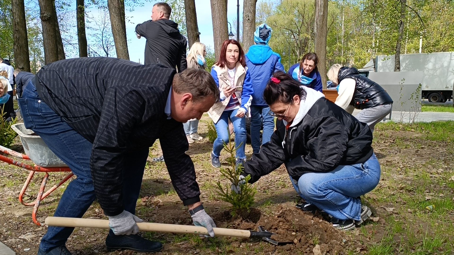 экология, деревья, лобня,
