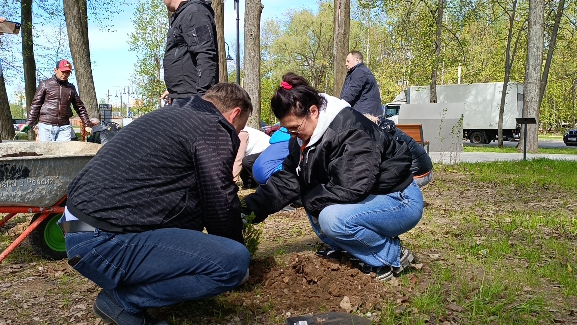 экология, деревья, лобня,