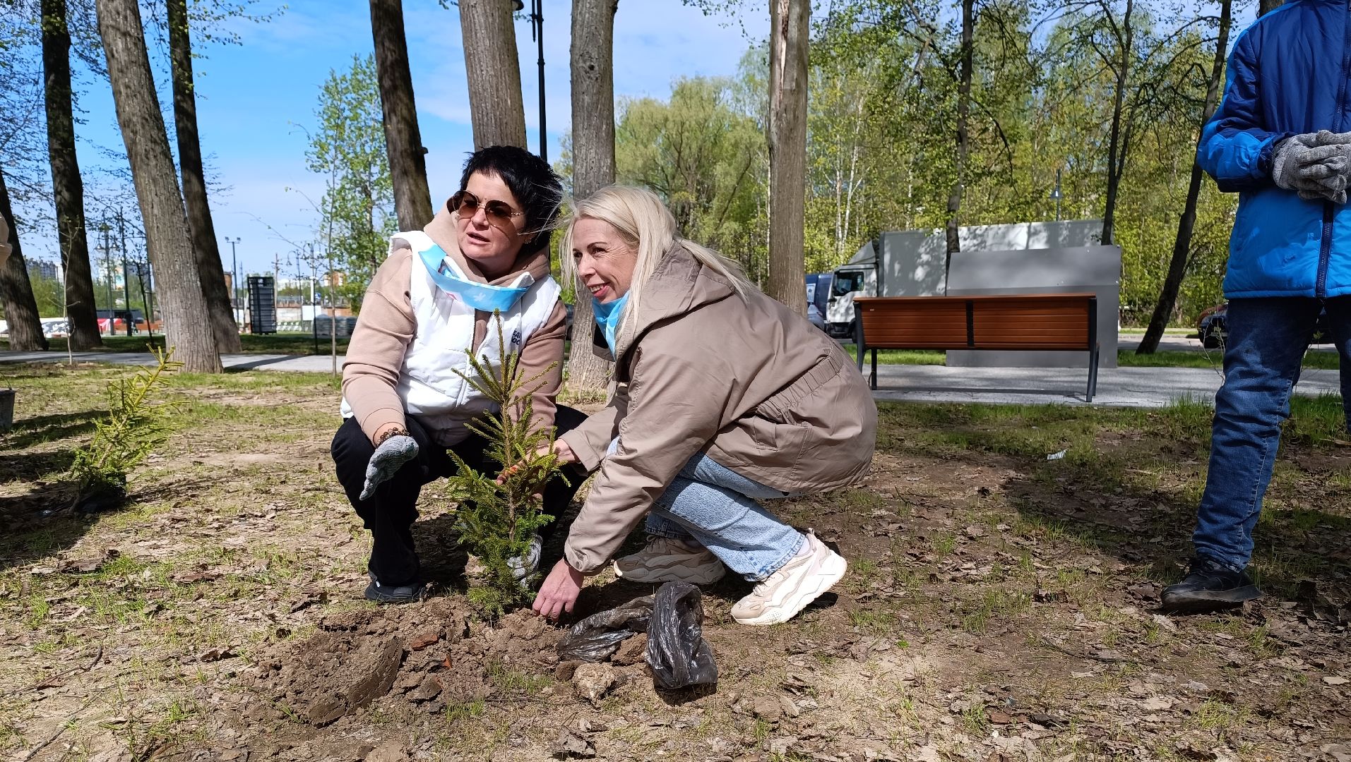 экология, деревья, лобня,