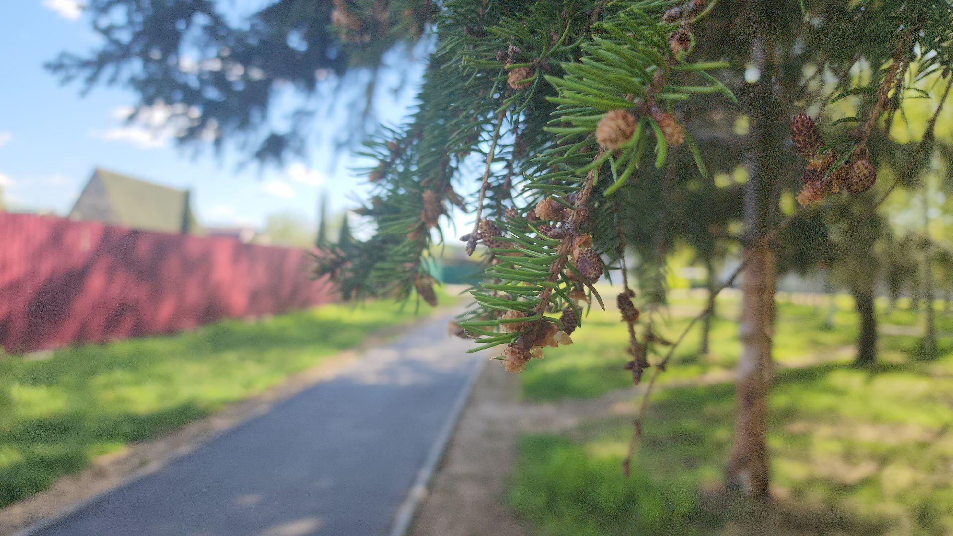 павловский посад, городской округ павловский посад, люди, дорога, тропа, строительство, ремонт, благоустройство,