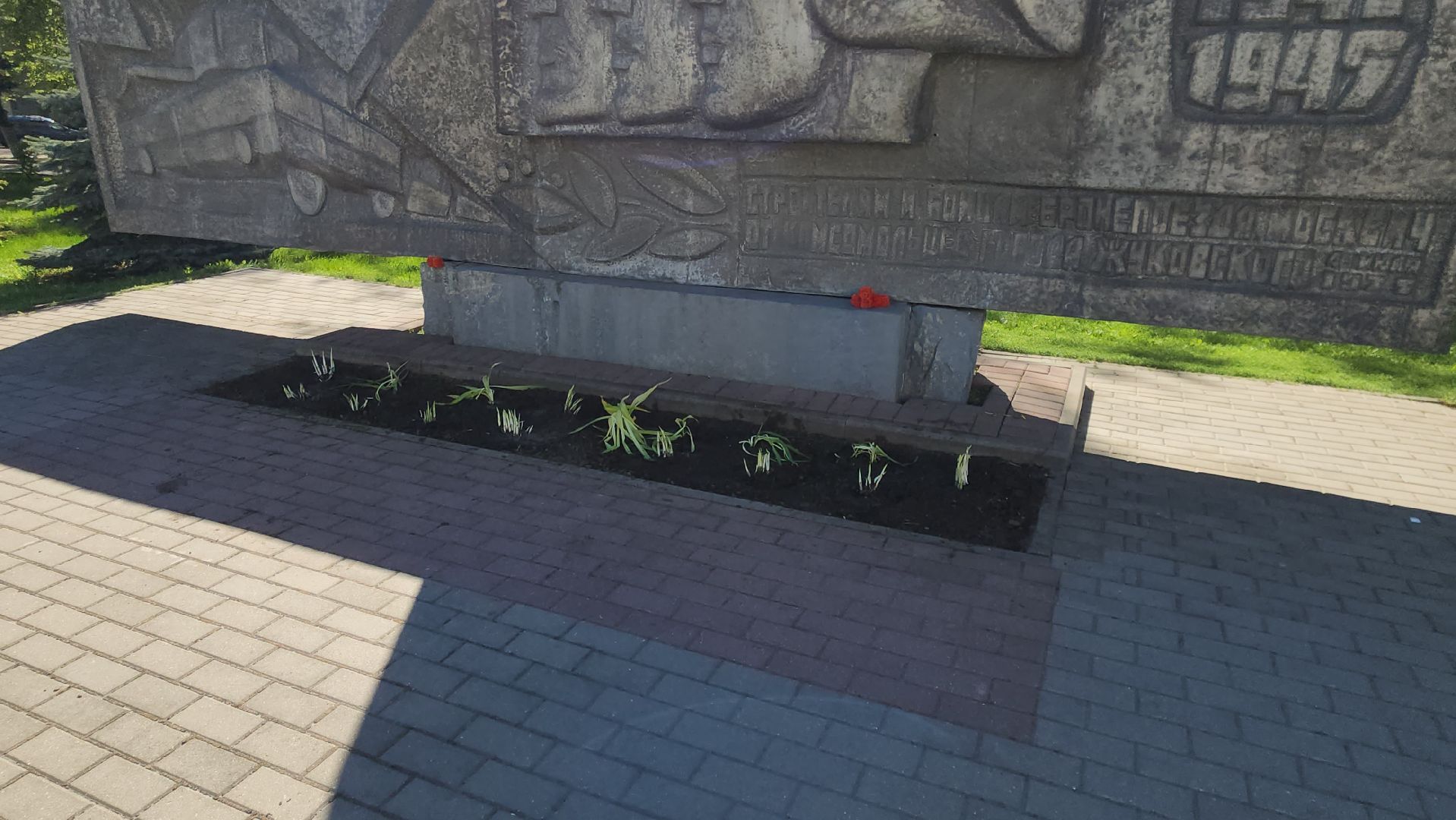 Союз садоводов России, посадка цветов, бронепоезд москвич, Ольга Пушкарева, ул Фрунзе, хоста, лилейник,