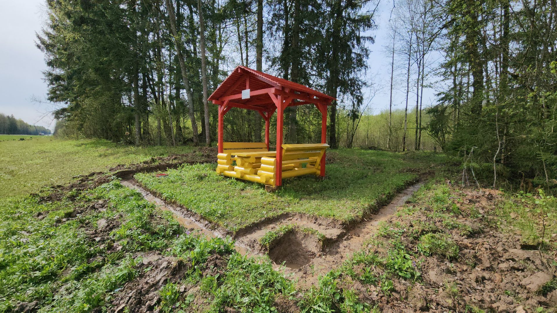 Экология, лес, лесничество, лесничие, руза, рузский городской округ, московская область,