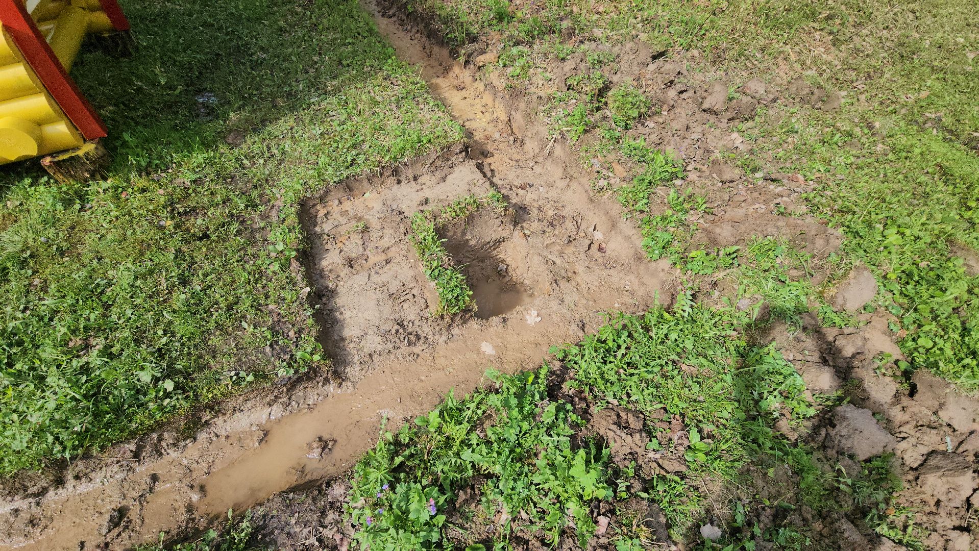 Экология, лес, лесничество, лесничие, руза, рузский городской округ, московская область,