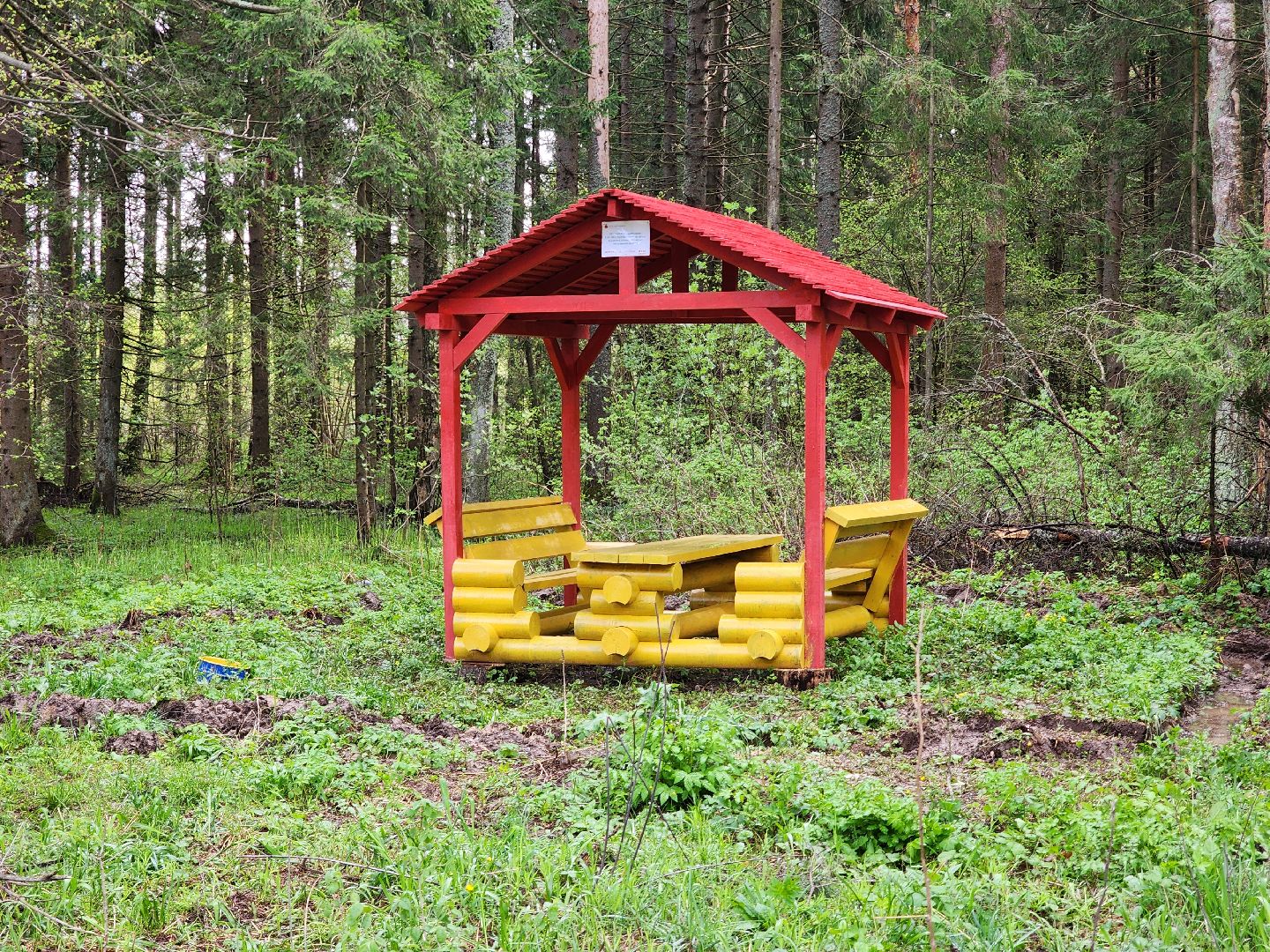Экология, лес, лесничество, лесничие, руза, рузский городской округ, московская область,