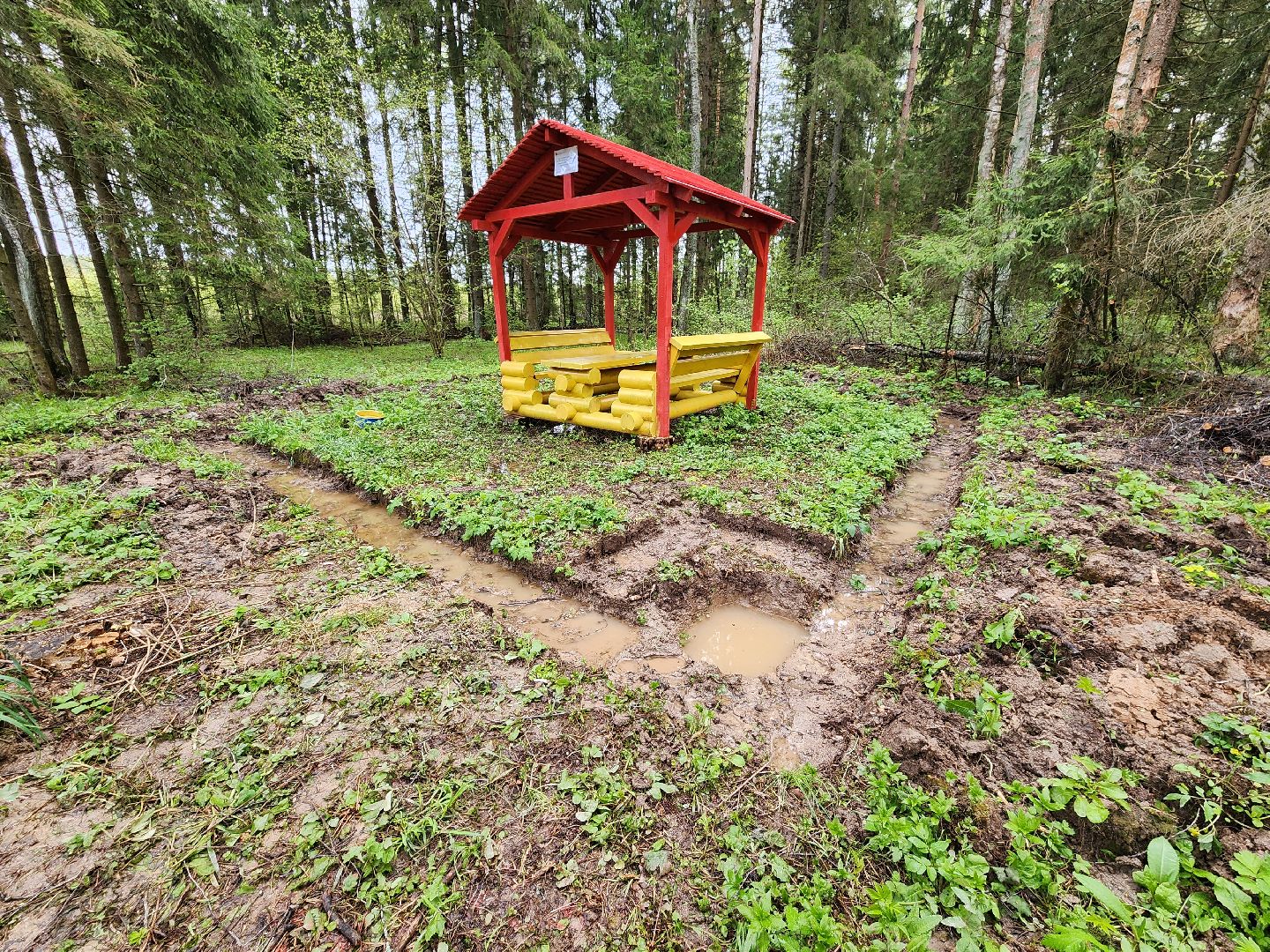 Экология, лес, лесничество, лесничие, руза, рузский городской округ, московская область,