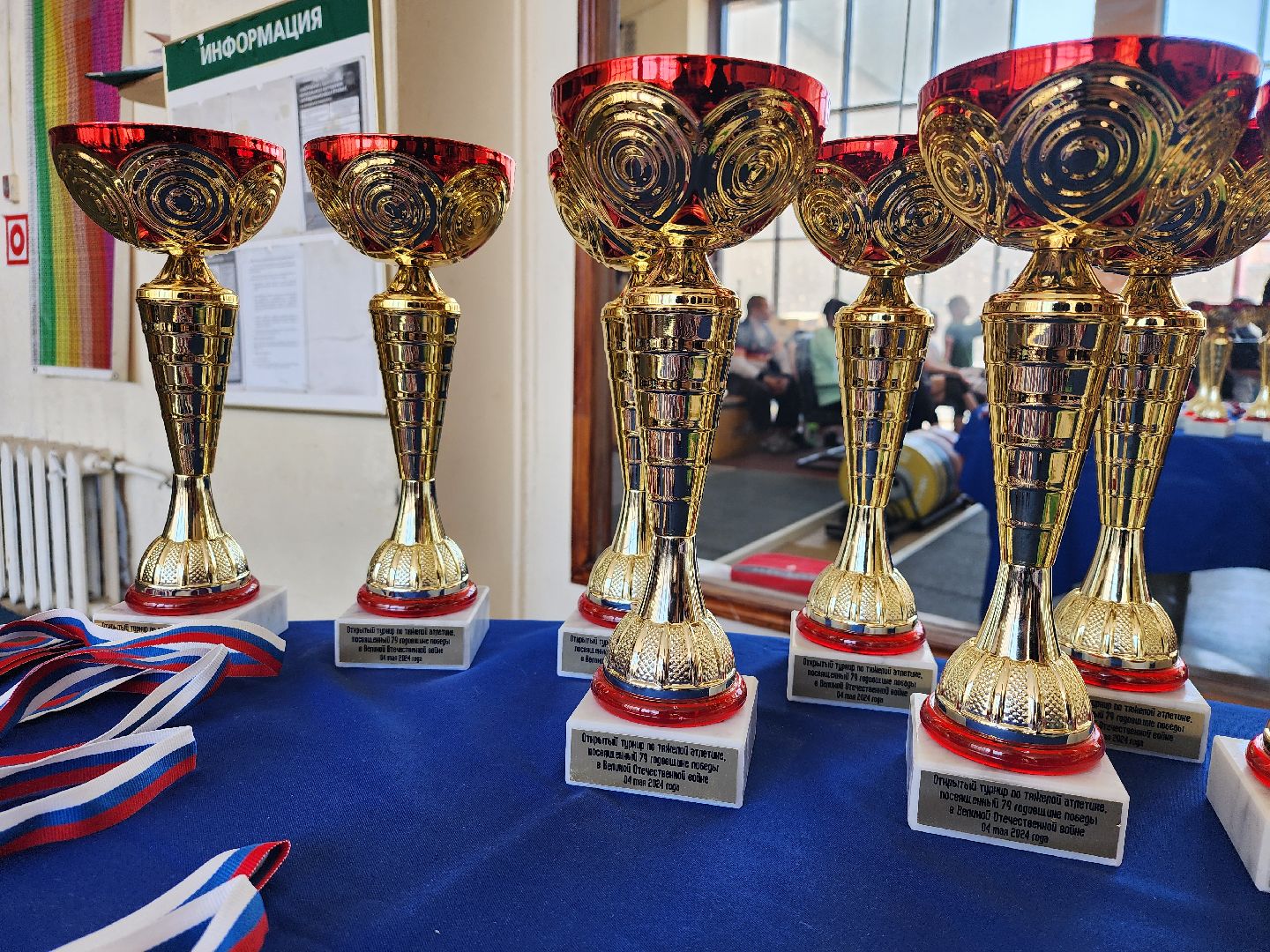 турнир по тяжелой атлетике, День Победы, тяжелая атлетика, Старая Купавна, Богородский городской округ,