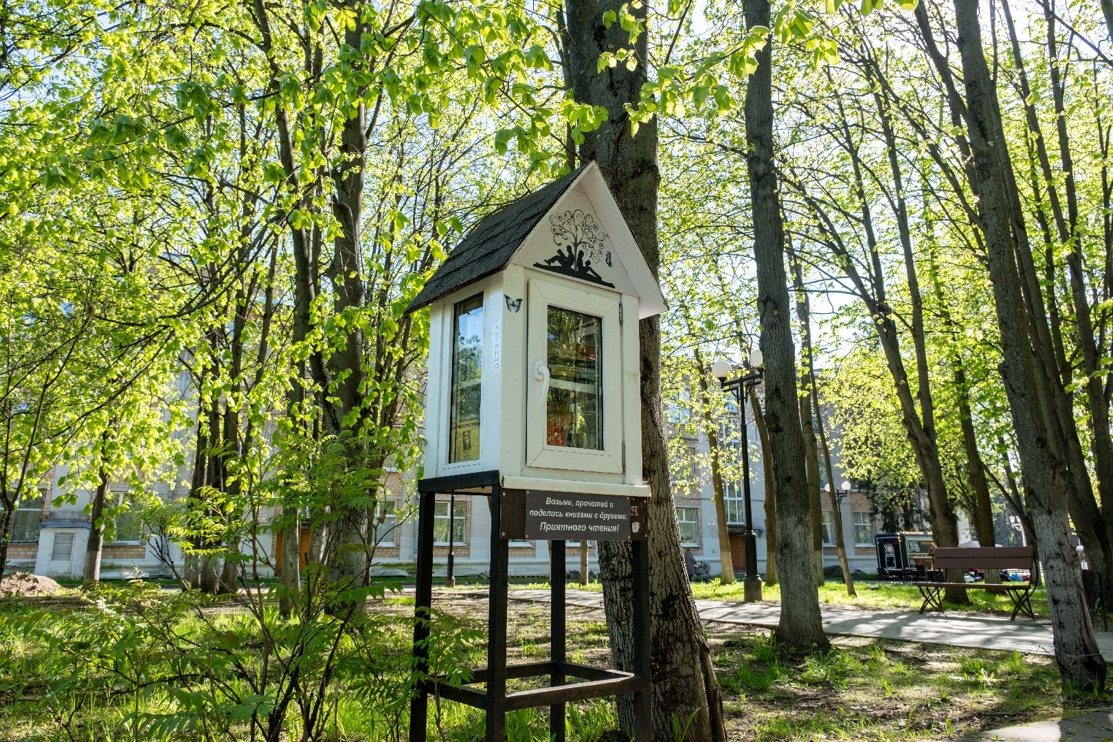 лыткарино, благоустройство, парк,