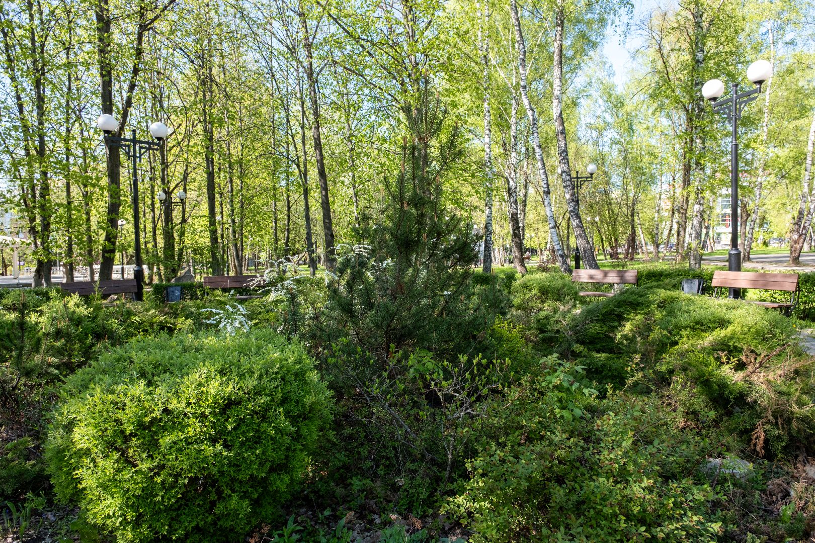 лыткарино, благоустройство, парк,