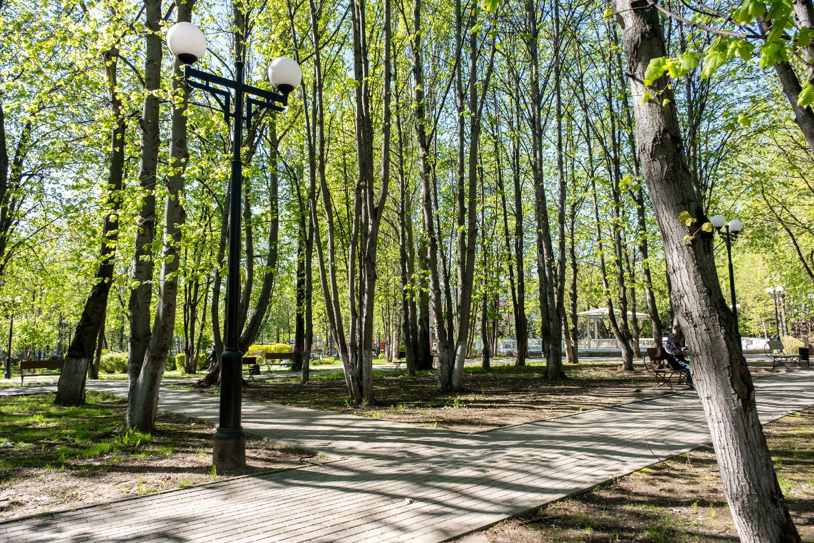 лыткарино, благоустройство, парк,