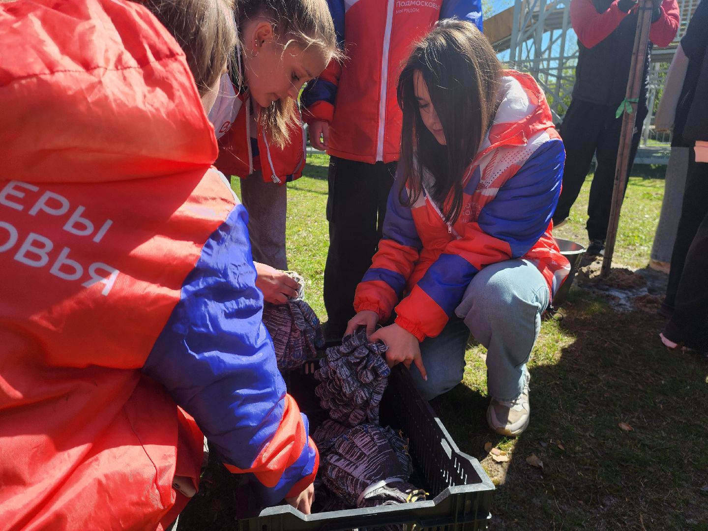 шатура, сад победы, сад памяти и славы, добрые дела, парки шатуры,