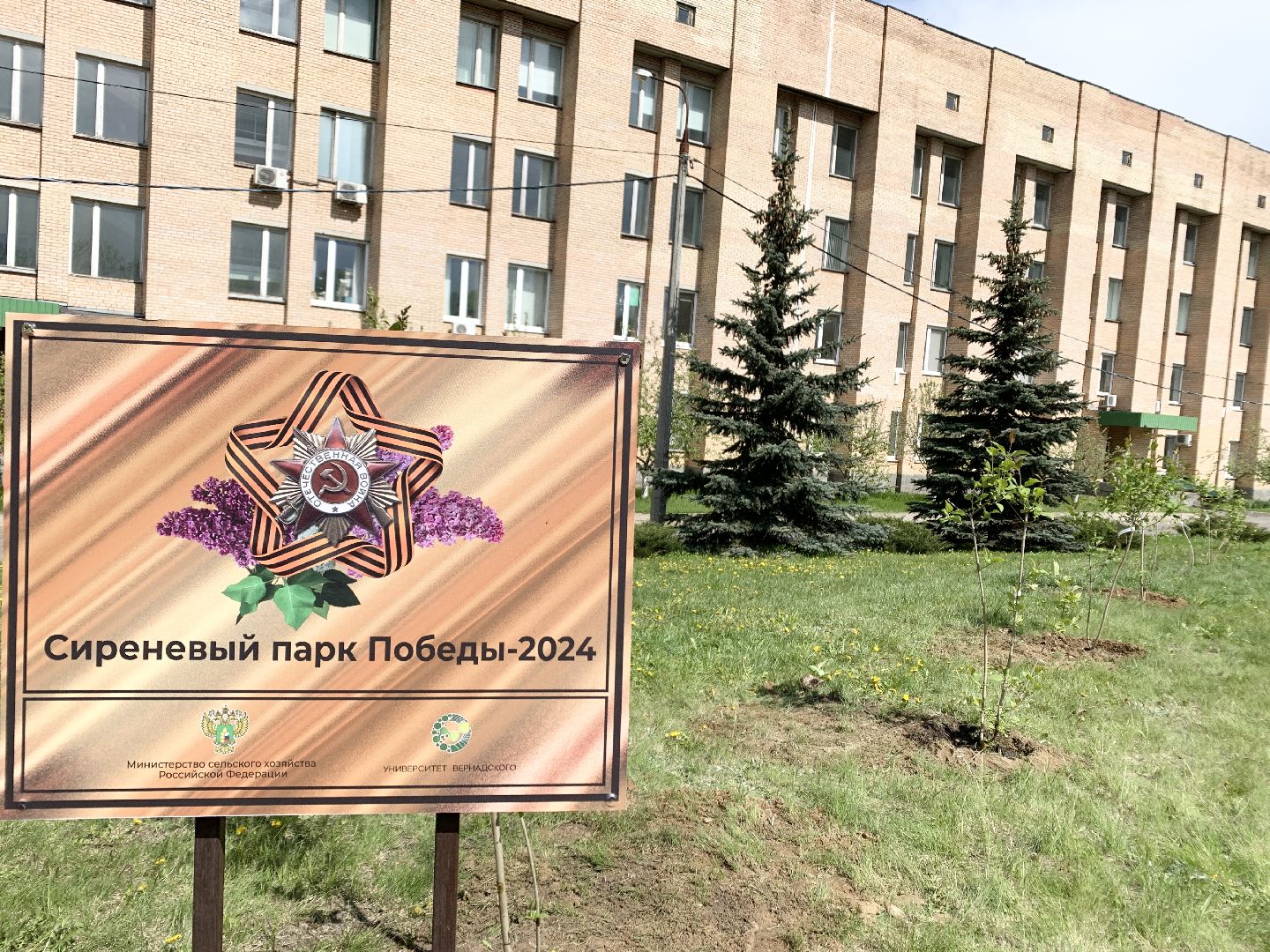 Балашиха, Подмосковье, День Победы, Сиреневый парк Победы 2024, аллея памяти, сиреневая аллея, митинг,