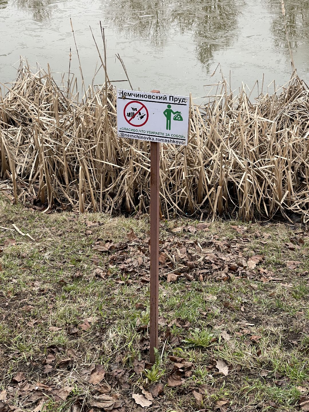 Одинцово, Немчиновка, экология, пруд, Добродел,