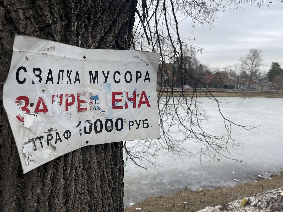 Одинцово, Немчиновка, экология, пруд, Добродел,