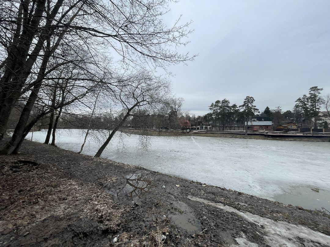 Одинцово, Немчиновка, экология, пруд, Добродел,