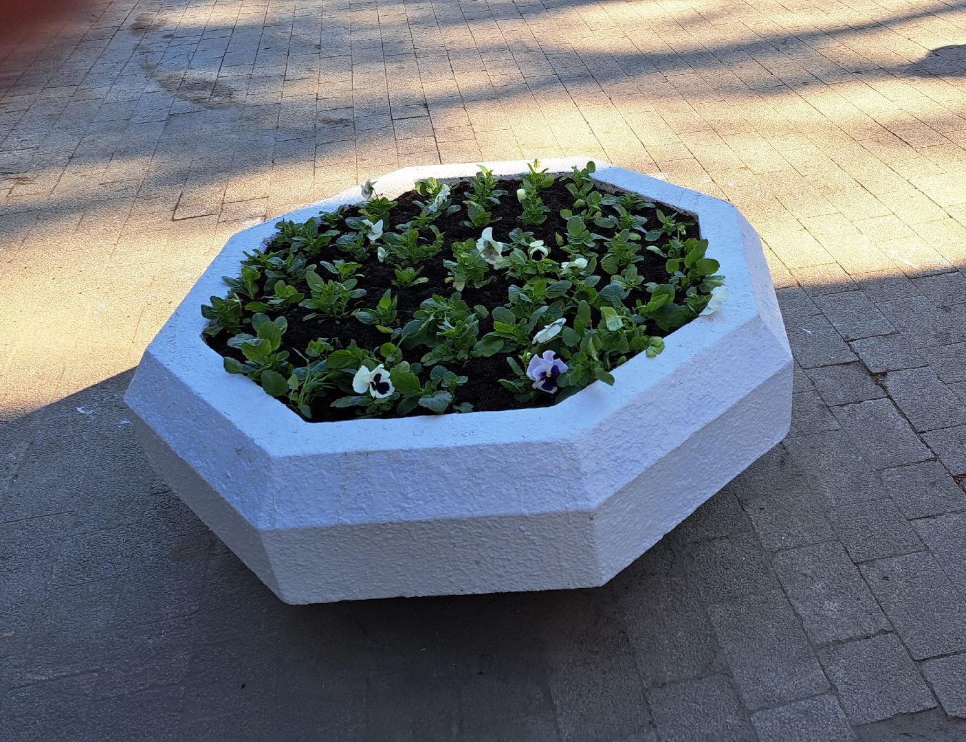 Щелково, цвет, набережная,