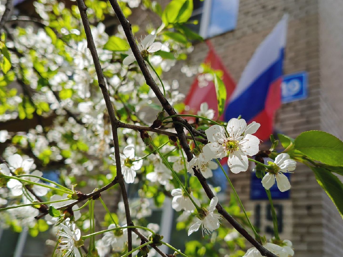 Солнечногорск, 9 мая, подготовка к празднику, советская площадь, день победы,