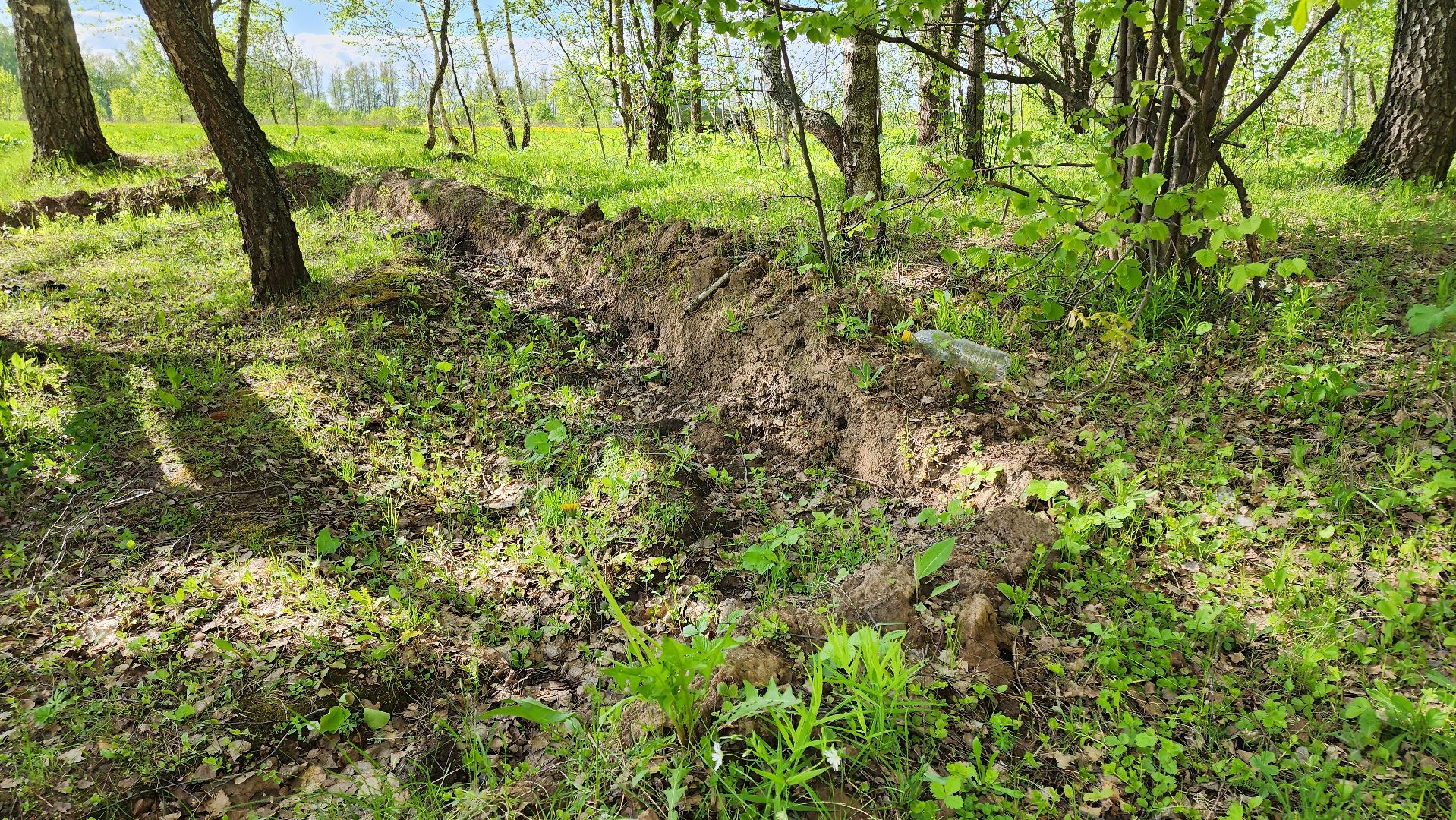 кашира, зона для отдыха, отдых в лесу, зона для пикника, мангал, шашлык, комлесхоз,