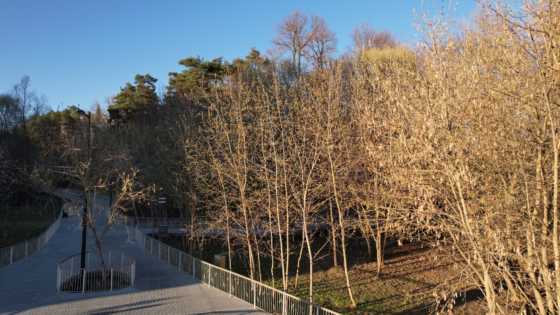 видео с коптера, звенигород, парк,
