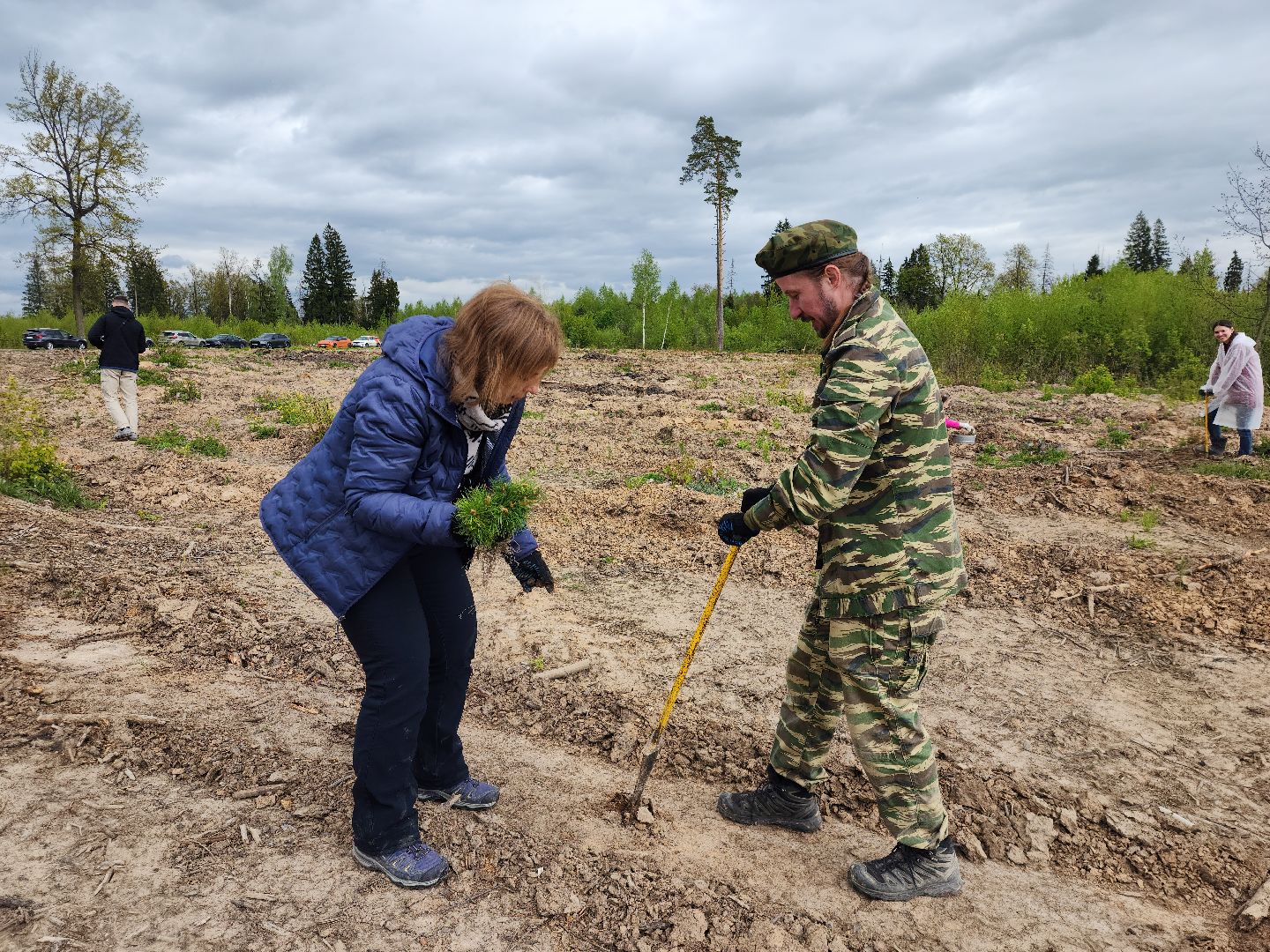 Звенигород, Акции, Посади лес,