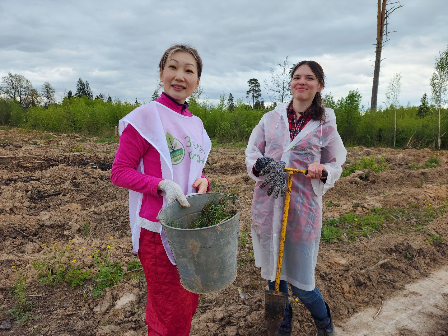 Звенигород, Акции, Посади лес,