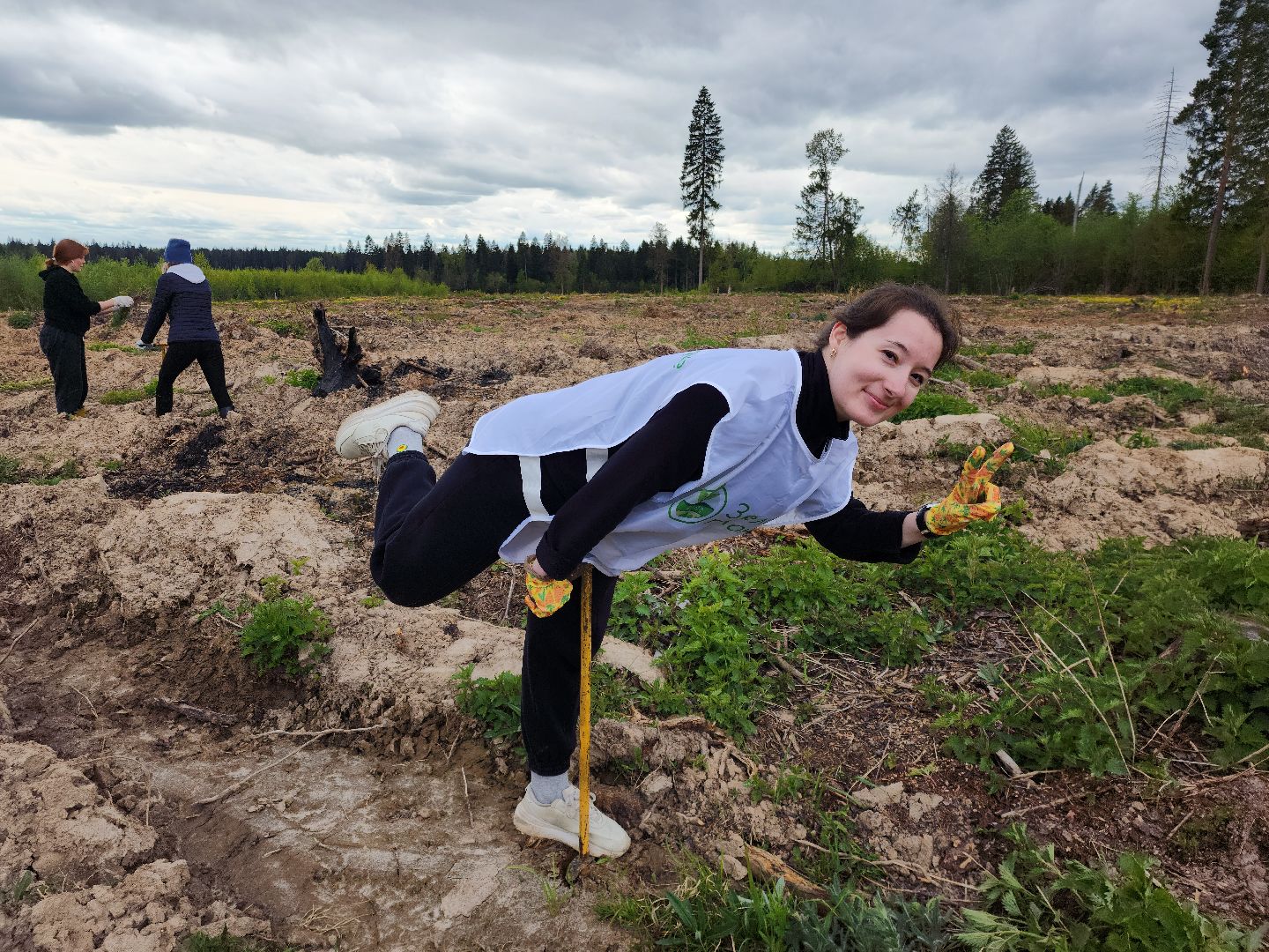 Звенигород, Акции, Посади лес,