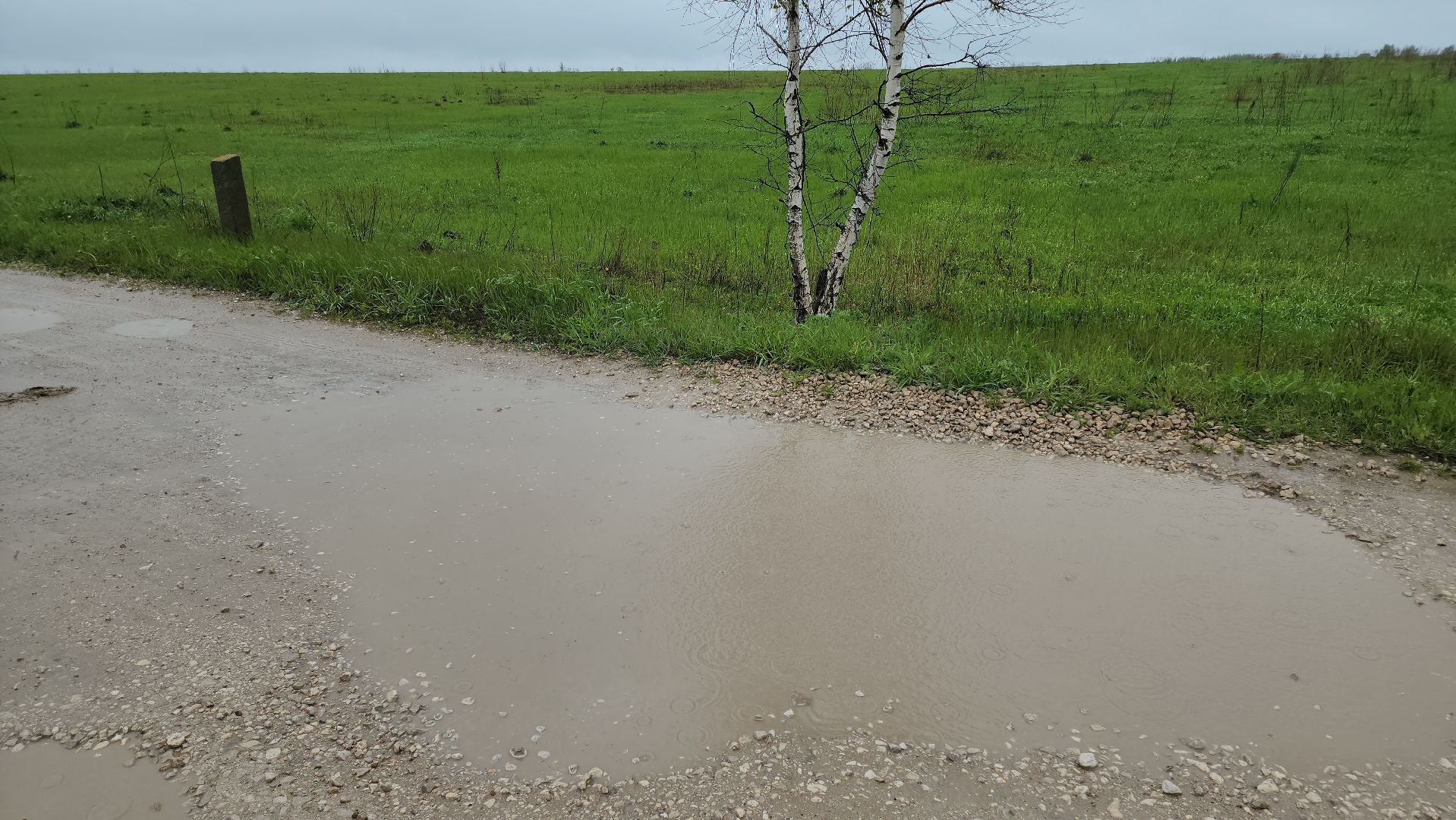 кашира, умрышенка, дорога, щебень, ямы, ремонт дороги, отсыпка асфальтной крошкой, мку управление строительства,