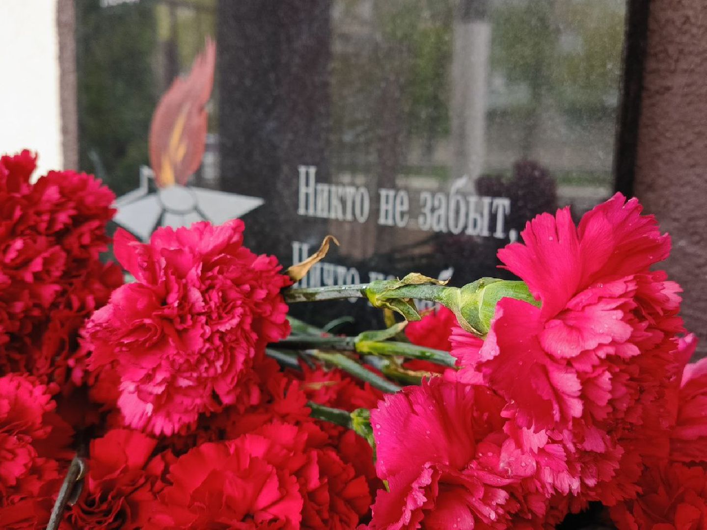 Солнечногорск, Памятная доска, бойцы сво, ученики, Школа, Мемориал,