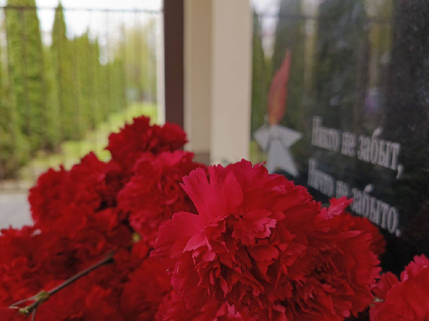 Солнечногорск, Памятная доска, бойцы сво, ученики, Школа, Мемориал,