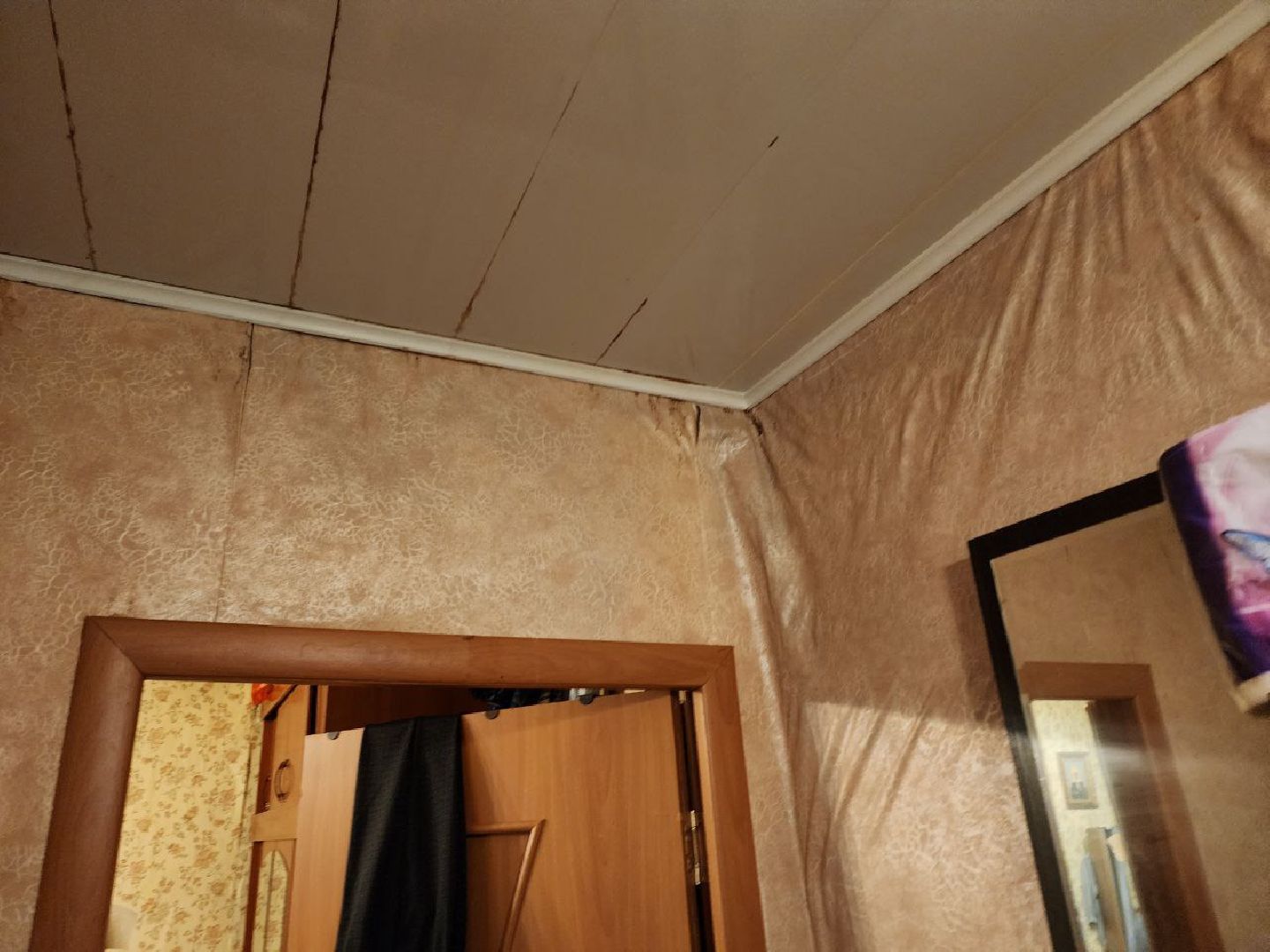 чехов, общество, выездная администрация, жители, ремонт кровли, мкд,