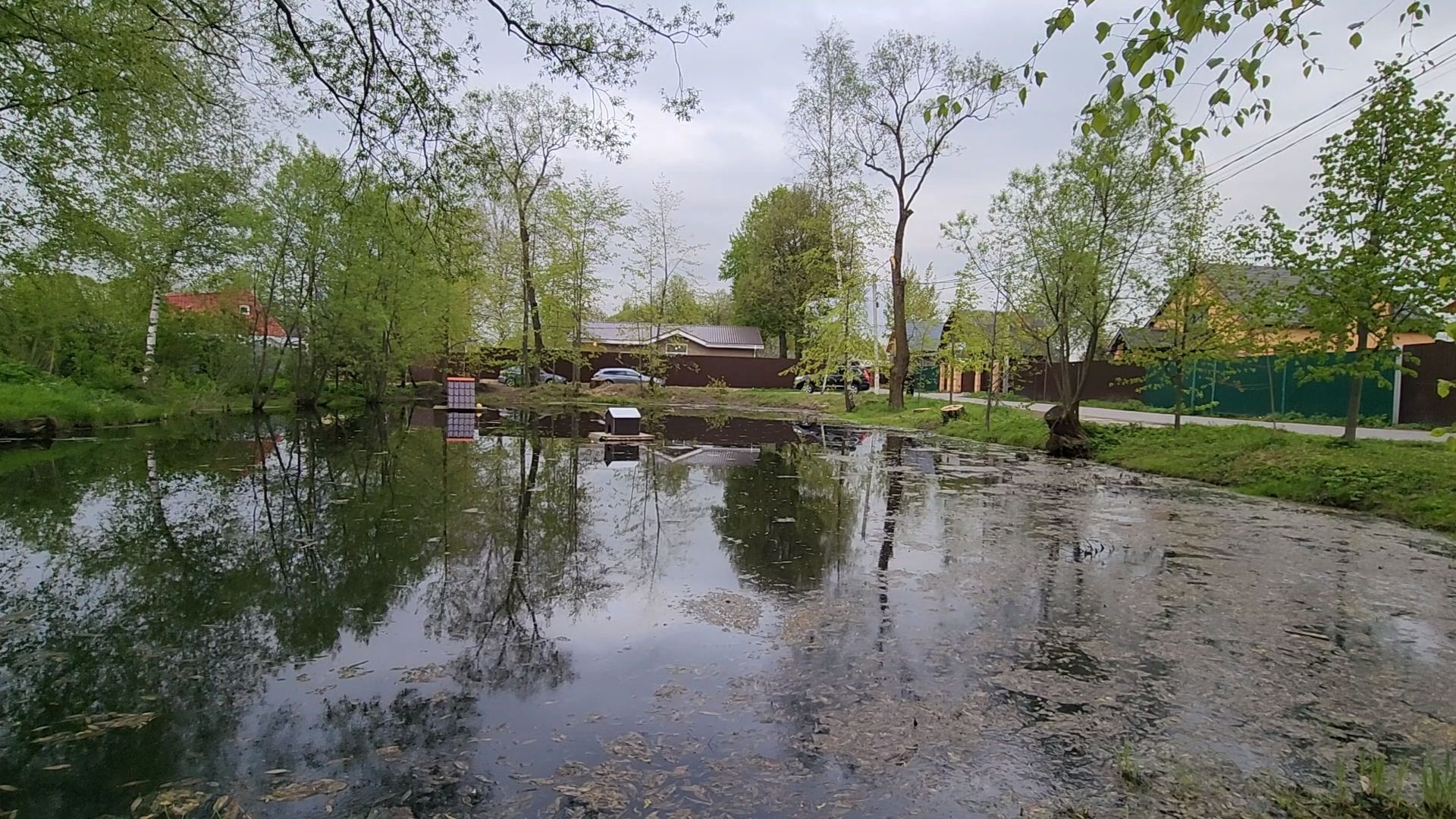 одинцово, бородки, пруд, экология, утки,