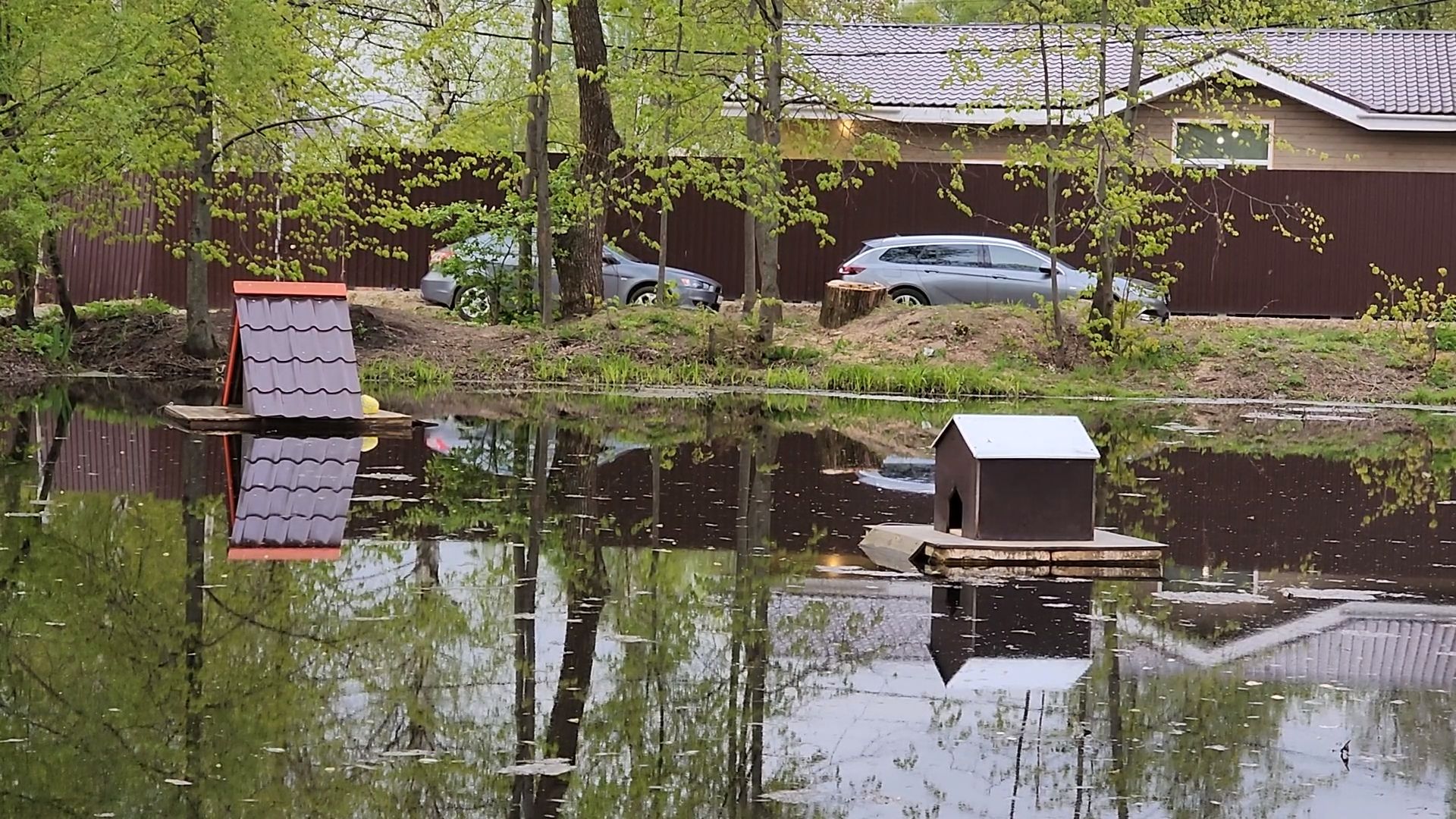 одинцово, бородки, пруд, экология, утки,