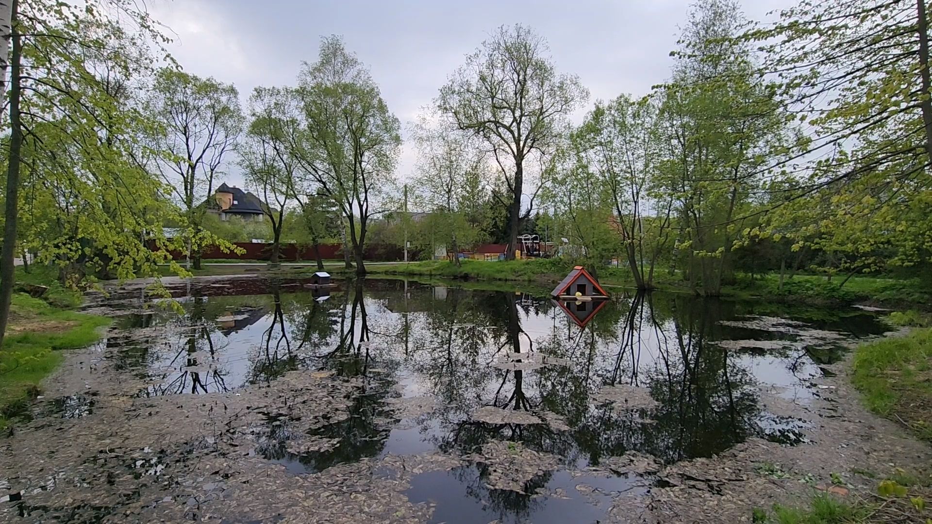 одинцово, бородки, пруд, экология, утки,