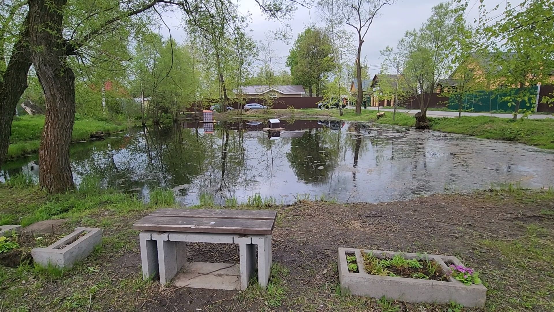 одинцово, бородки, пруд, экология, утки,