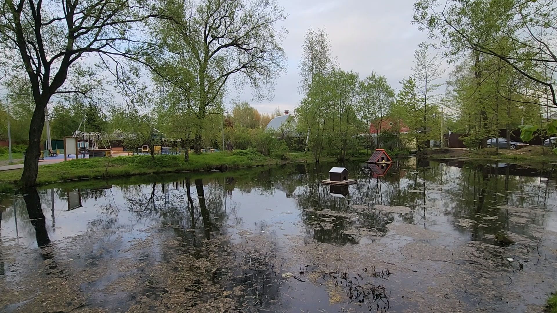 одинцово, бородки, пруд, экология, утки,