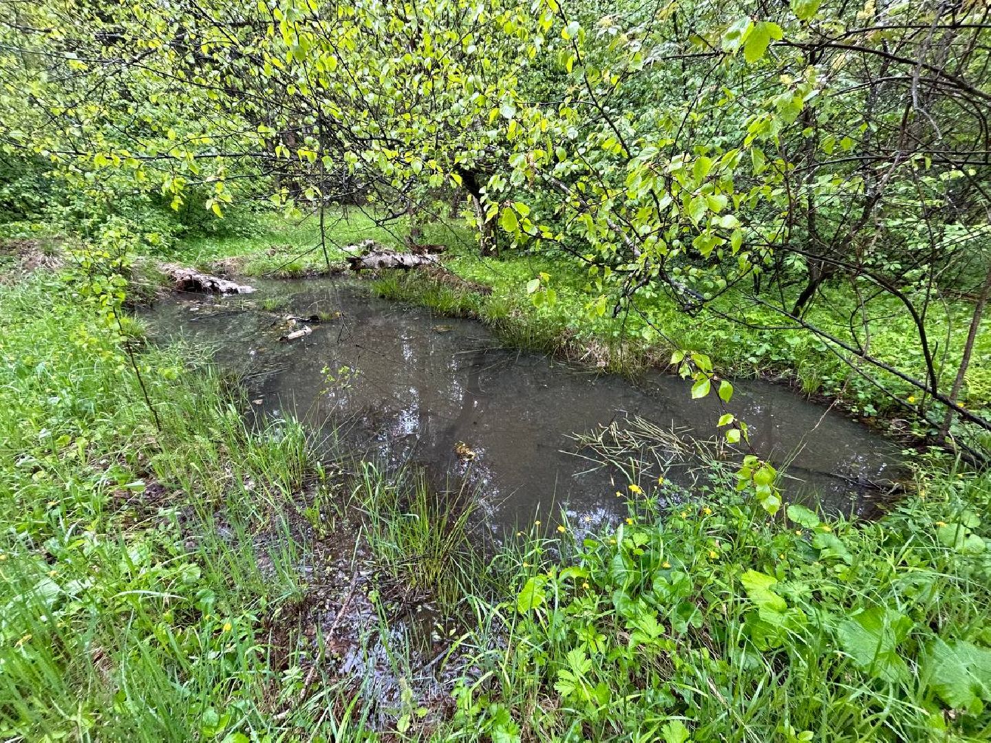 ЦВПВ, Волонтеры, Подмосковье, Памятник, Уборка памятников, Обелиск, 9 мая, День Победы, Домодедово, Герои ВОВ, Опытный самолет, СПБ,