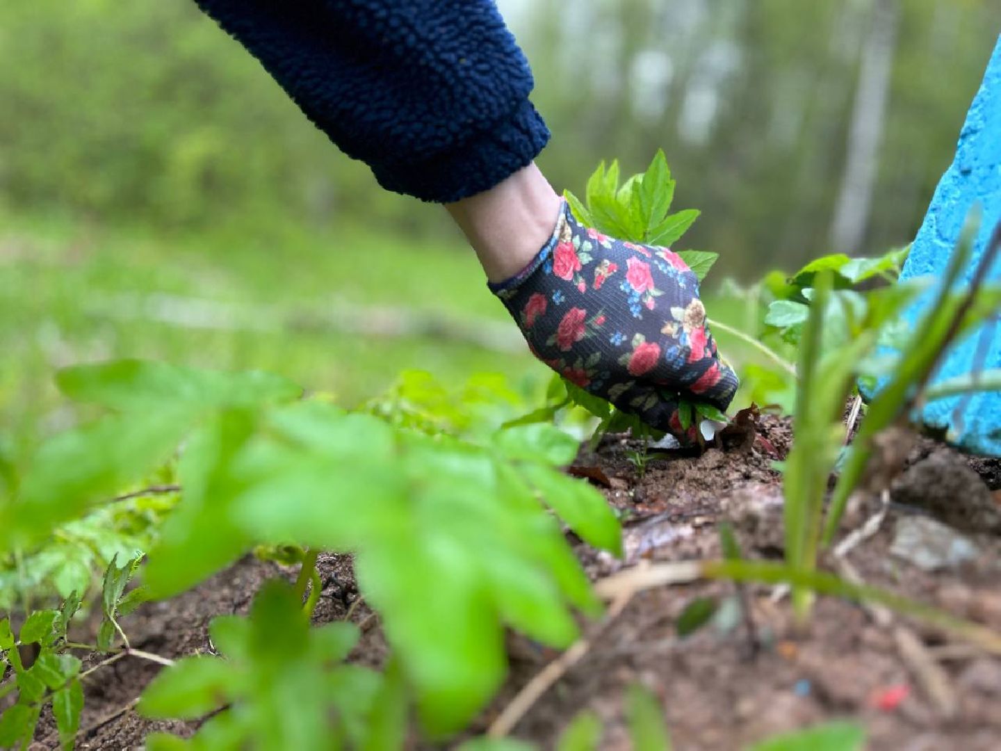 ЦВПВ, Волонтеры, Подмосковье, Памятник, Уборка памятников, Обелиск, 9 мая, День Победы, Домодедово, Герои ВОВ, Опытный самолет, СПБ,