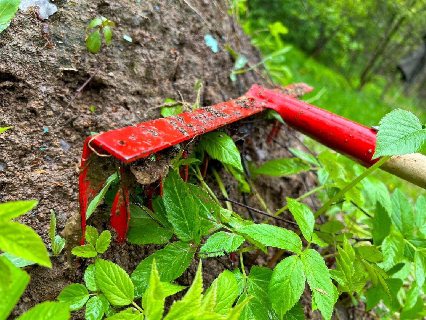 ЦВПВ, Волонтеры, Подмосковье, Памятник, Уборка памятников, Обелиск, 9 мая, День Победы, Домодедово, Герои ВОВ, Опытный самолет, СПБ,