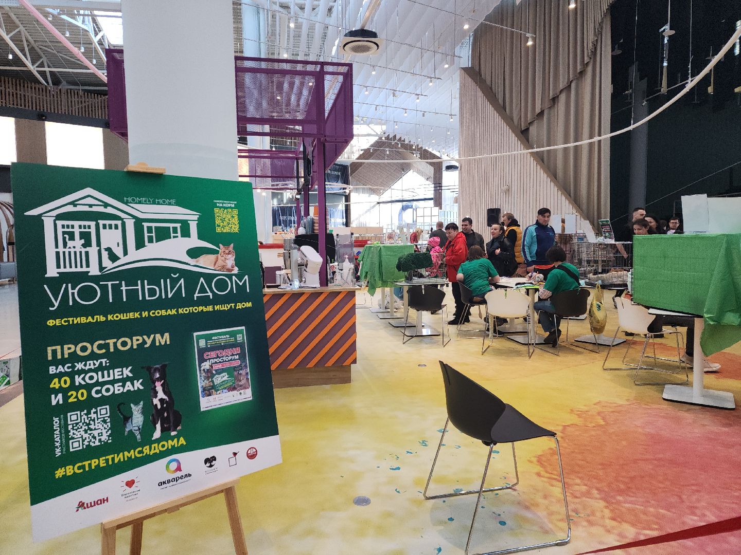 пушкино, бездомные животные, пристройство, мероприятие, волонтерство,