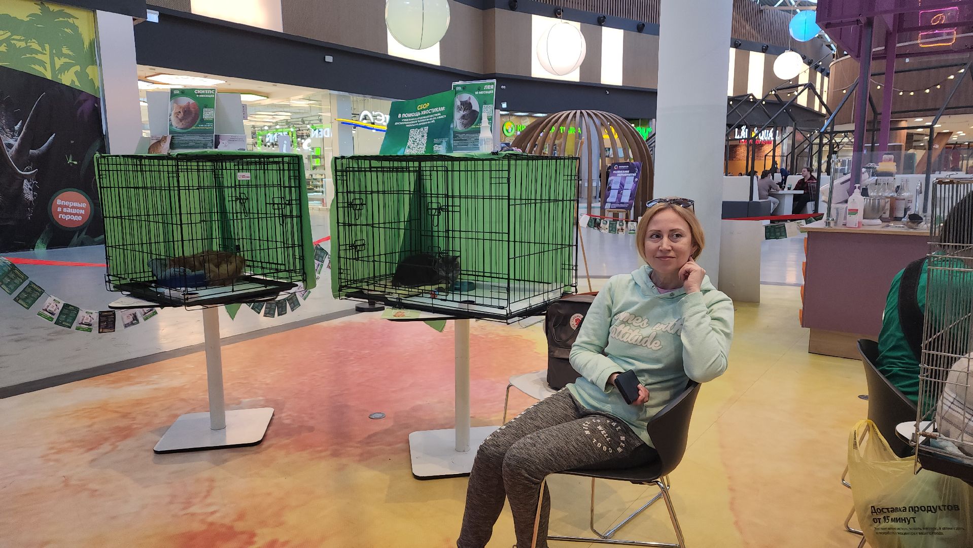 пушкино, бездомные животные, пристройство, мероприятие, волонтерство,