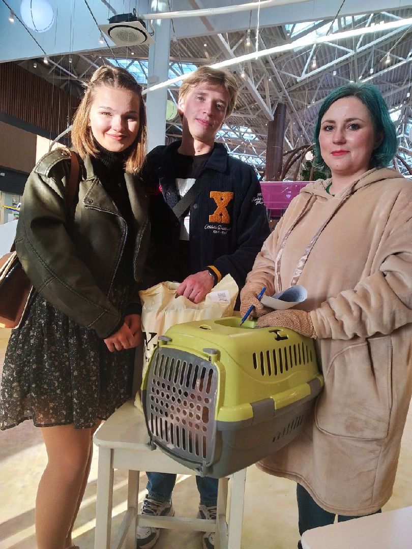 пушкино, бездомные животные, пристройство, мероприятие, волонтерство,