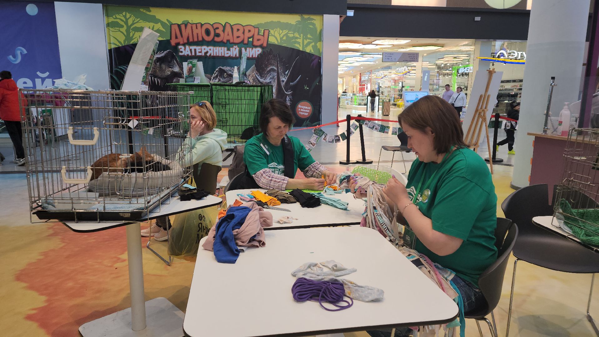 пушкино, бездомные животные, пристройство, мероприятие, волонтерство,