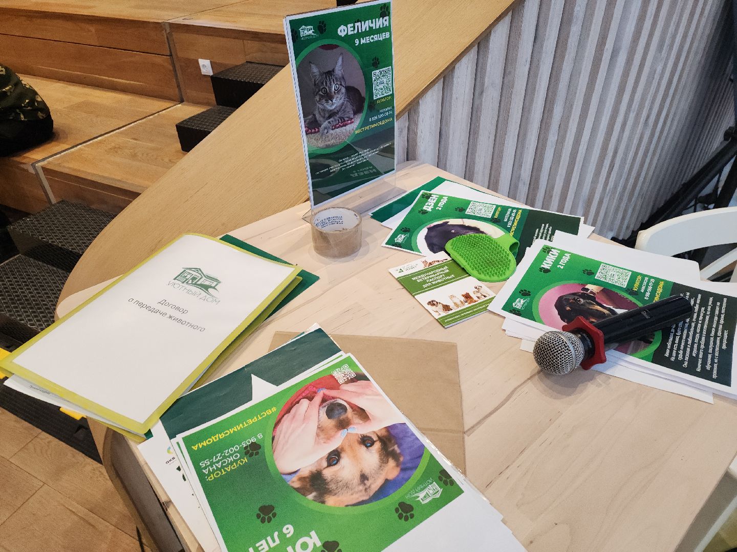 пушкино, бездомные животные, пристройство, мероприятие, волонтерство,