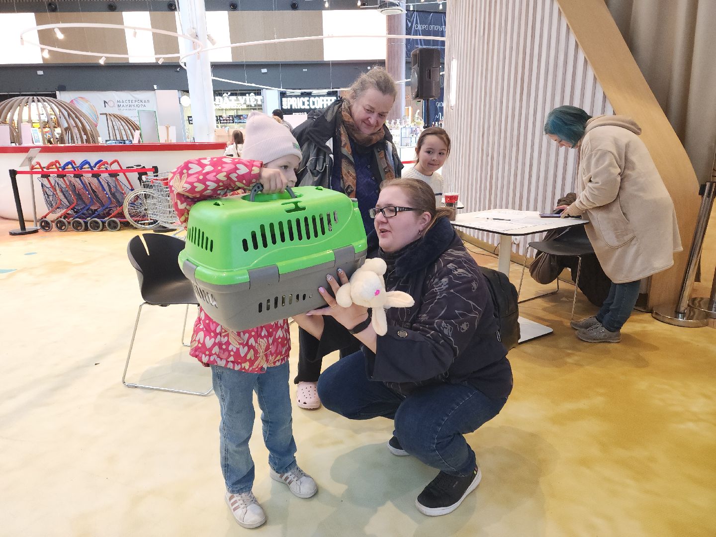 пушкино, бездомные животные, пристройство, мероприятие, волонтерство,