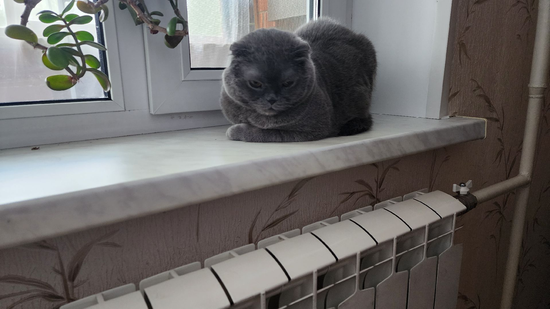 Солнечногорск, Военный городок, ЖКХ, отопление,