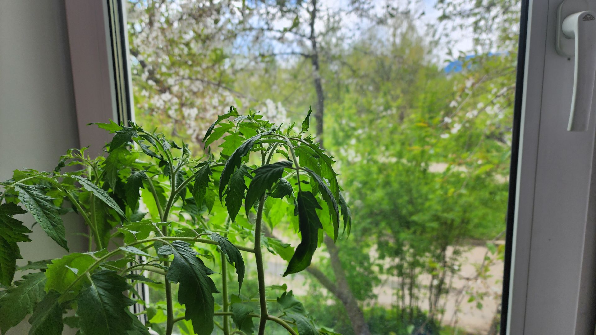 Солнечногорск, Военный городок, ЖКХ, отопление,