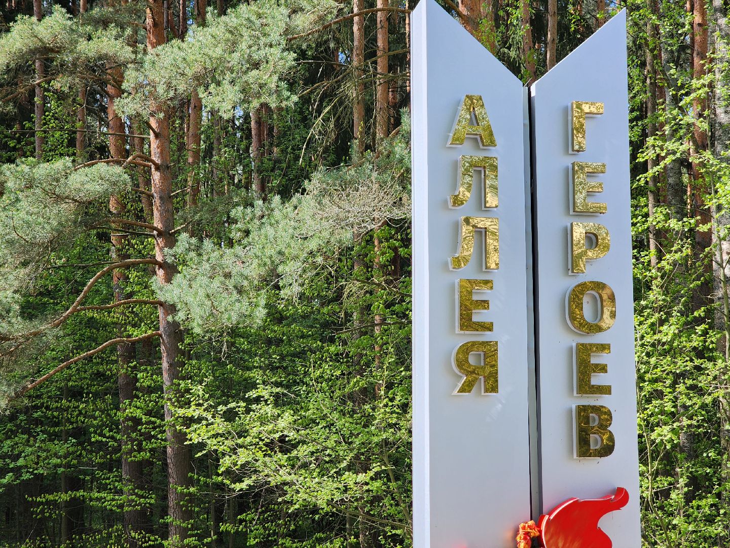 Уборка, День Победы, Монумент, Дубна, МБУ ЖКУ,