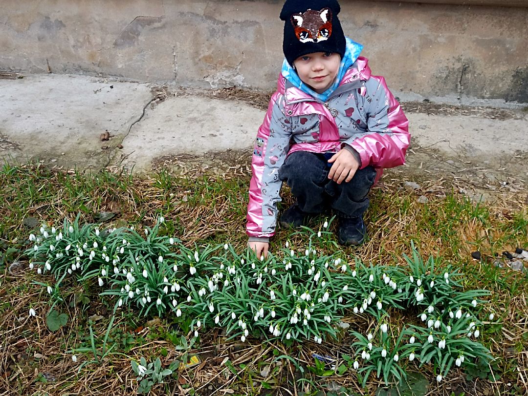 Серпухов, подснежники, весна