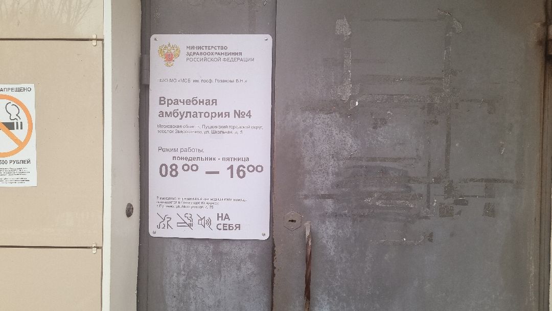 Подмосковье, Пушкинский, власть